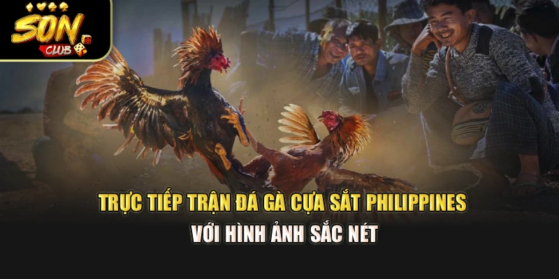 Trực tiếp trận đá gà cựa sắt Philippines với hình ảnh sắc nét